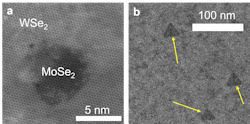 FIGURE 1. Atomically resolved TEM image of a MoSe2 nanodot embedded in WSe2 matrix (a); low magnification TEM image shows MoSe2 nanodots (yellow arrows) dispersed in WSe2 matrix (b). FIGURE 1. Atomically resolved TEM image of a MoSe2 nanodot embedded in WSe2 matrix (a); low magnification TEM image shows MoSe2 nanodots (yellow arrows) dispersed in WSe2 matrix (b).