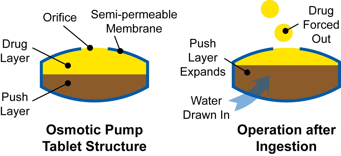 FIGURE 1. The osmotic pump tablet structure includes a drug layer and a push layer surrounded by a semi-permeable membrane.