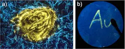 Changes in colors emitted through mechanochromism: a) when the blue crystal in emission was ground at the center, the color turned yellow; and b) a round filter paper thinly coated with blue mechanochromic molecules in emission—the yellowish letters 'Au' appeared after the surface was scratched with a spatula.