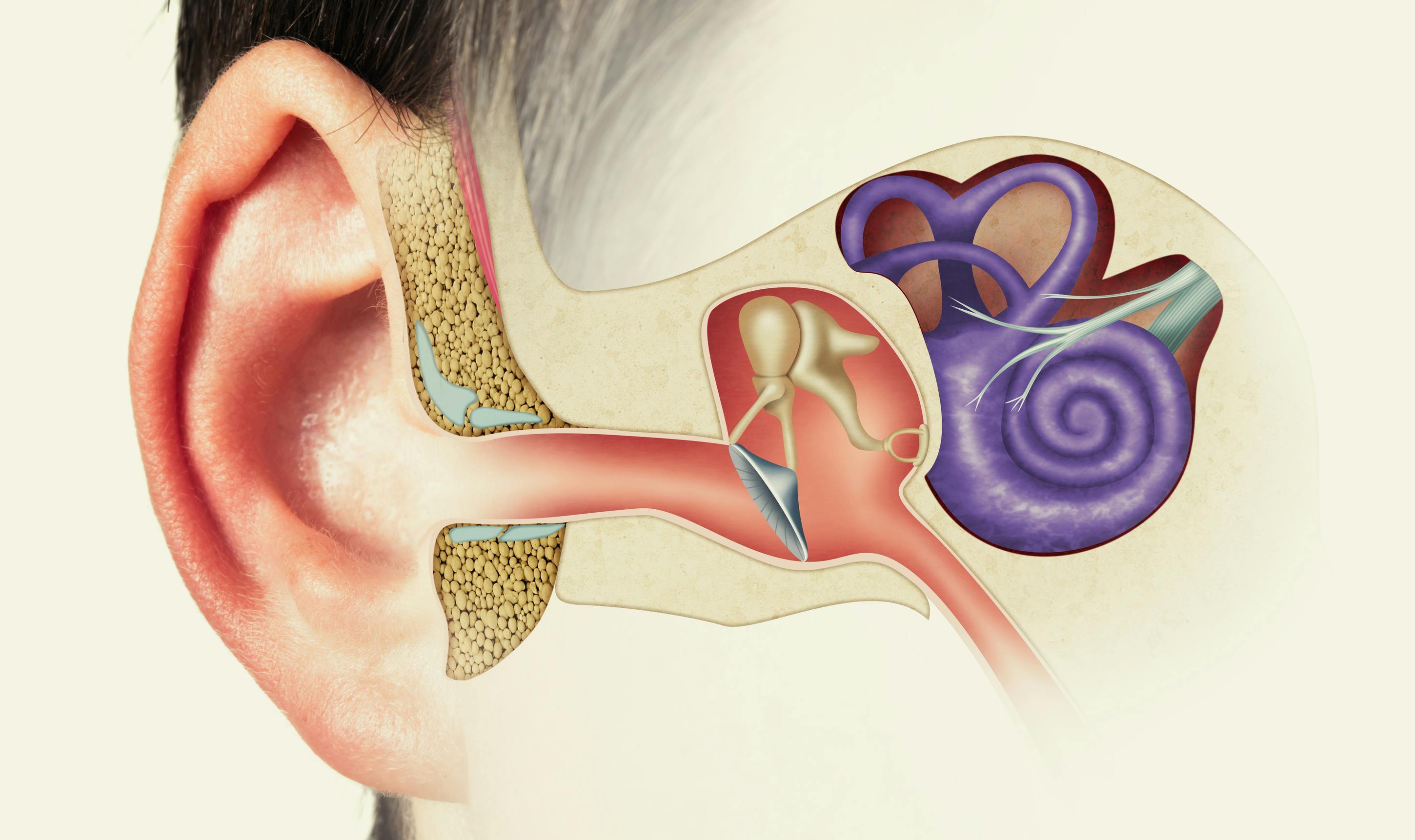 Researchers designed a terahertz near-field imaging approach to examine the inner ear.