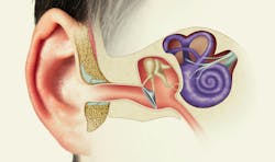Researchers designed a terahertz near-field imaging approach to examine the inner ear. Researchers designed a terahertz near-field imaging approach to examine the inner ear.
