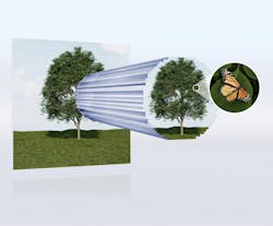 FIGURE 1. Ultrahigh-resolution TALOF-based nanowaveguide design improves imaging technology. FIGURE 1. Ultrahigh-resolution TALOF-based nanowaveguide design improves imaging technology.