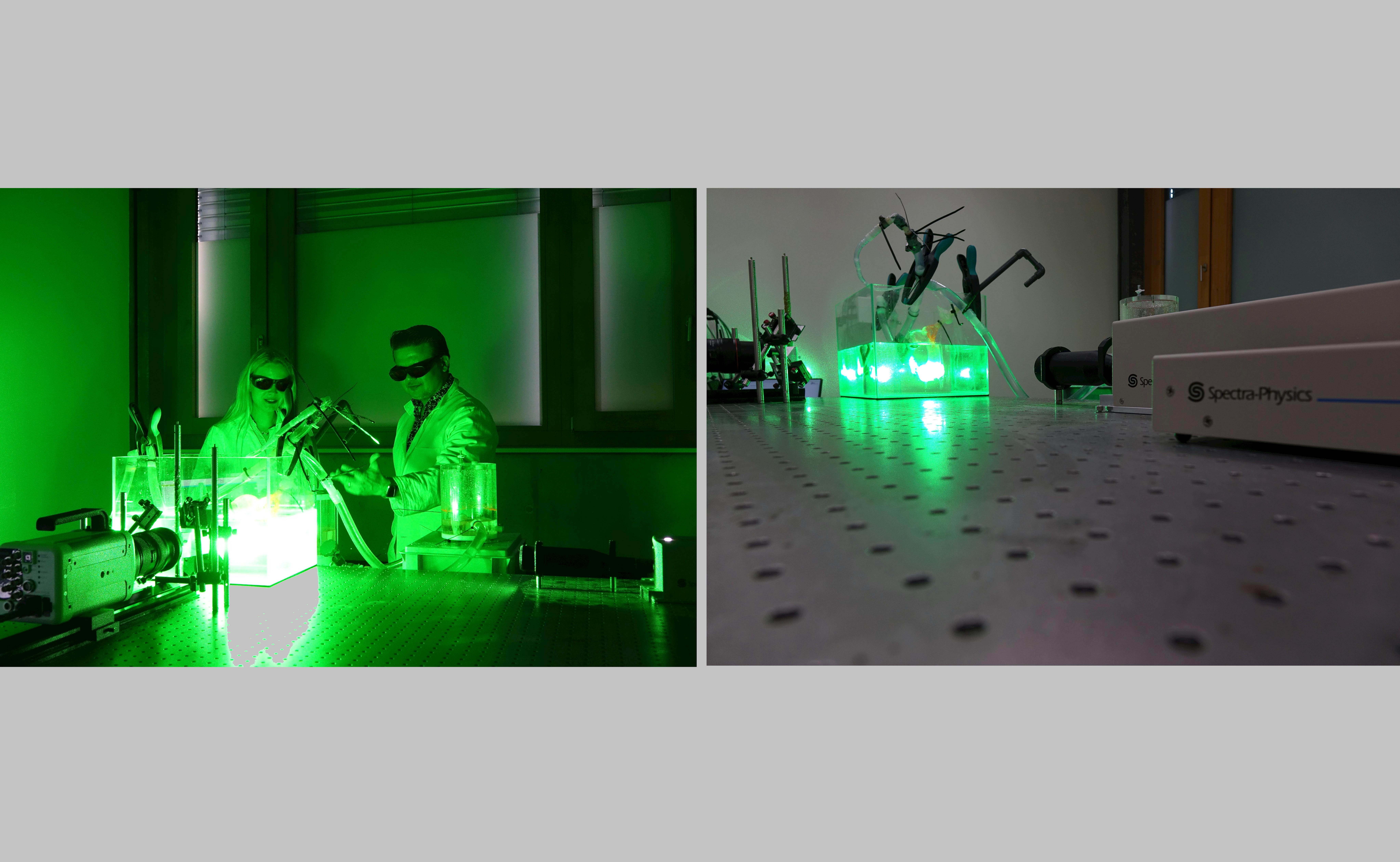 Dr. Utku Guelan and Dr. Caroline Smid performing in vitro measurements (left). The aquarium used for performing the measurements is placed on a Newport optical table. The Spectra-Physics Millennia laser is used to excite the tracer particles in the silicon replica inside the aquarium (right).