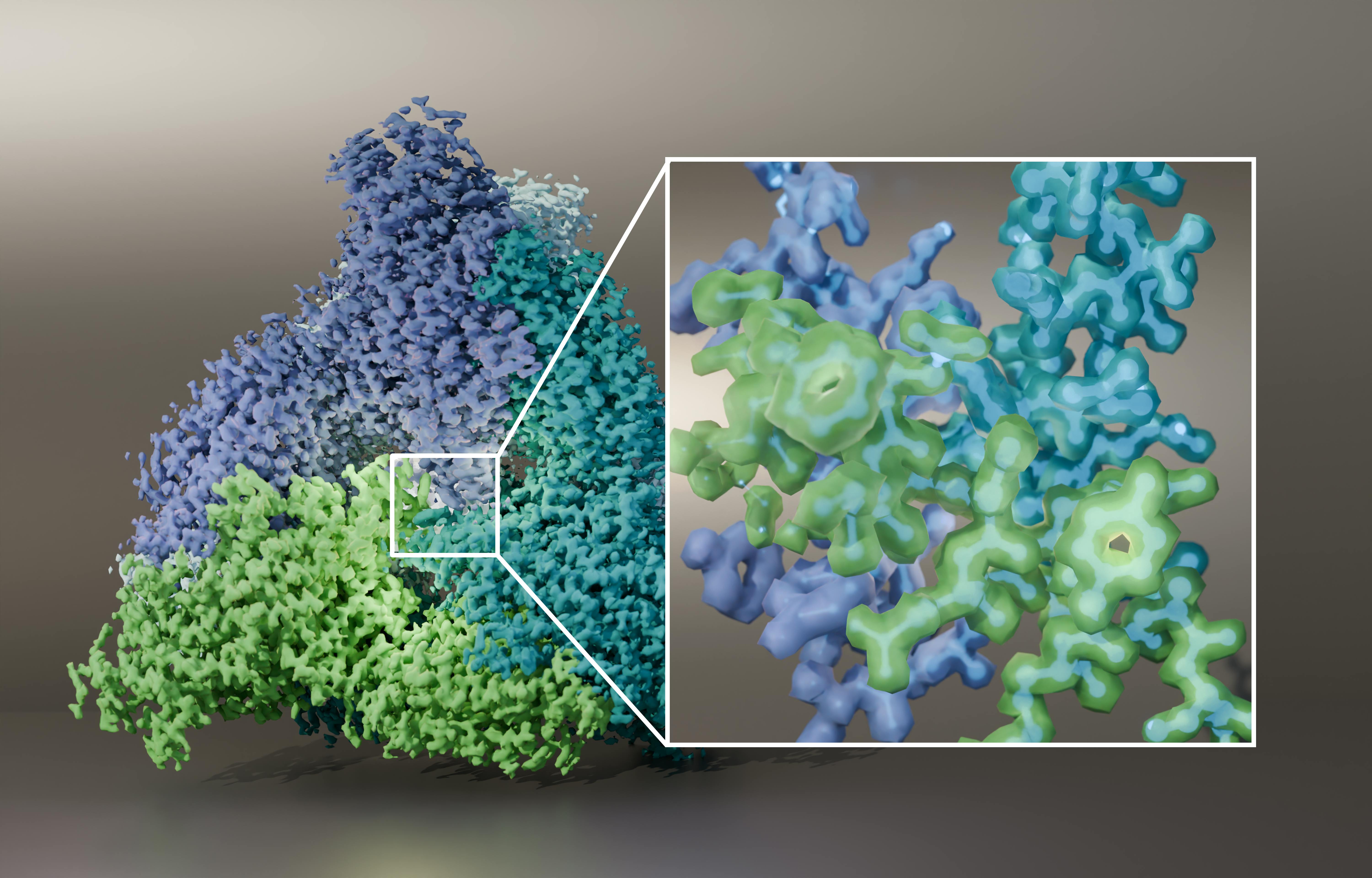FIGURE 1. L-arabinose isomerase structure at 1.52-&angst; resolution, determined via the Krios 5 Cryo-TEM. Data courtesy of University of BRIN, Indonesia. Protein is used for the development of sugar substitutes as well as the synthesis of antiviral drugs and other potential therapeutics.