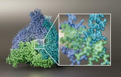 FIGURE 1. L-arabinose isomerase structure at 1.52-Å resolution, determined via the Krios 5 Cryo-TEM. Data courtesy of University of BRIN, Indonesia. Protein is used for the development of sugar substitutes as well as the synthesis of antiviral drugs and other potential therapeutics. FIGURE 1. L-arabinose isomerase structure at 1.52-Å resolution, determined via the Krios 5 Cryo-TEM. Data courtesy of University of BRIN, Indonesia. Protein is used for the development of sugar substitutes as well as the synthesis of antiviral drugs and other potential therapeutics.