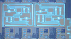 Optical micrograph of quantum light source electronic-photonic circuits sites, with four visible out of the total 12 on the fabricated silicon chips. Credit: BU