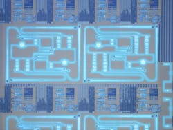Optical micrograph of quantum light source electronic-photonic circuits sites, with four visible out of the total 12 on the fabricated silicon chips. Credit: BU Optical micrograph of quantum light source electronic-photonic circuits sites, with four visible out of the total 12 on the fabricated silicon chips. Credit: BU