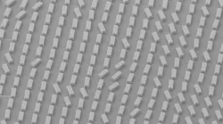 Scanning electron microscope image of the team’s chiral metasurface. Credit: EPFL