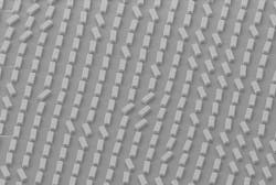 Scanning electron microscope image of the team’s chiral metasurface. Credit: EPFL Scanning electron microscope image of the team’s chiral metasurface. Credit: EPFL