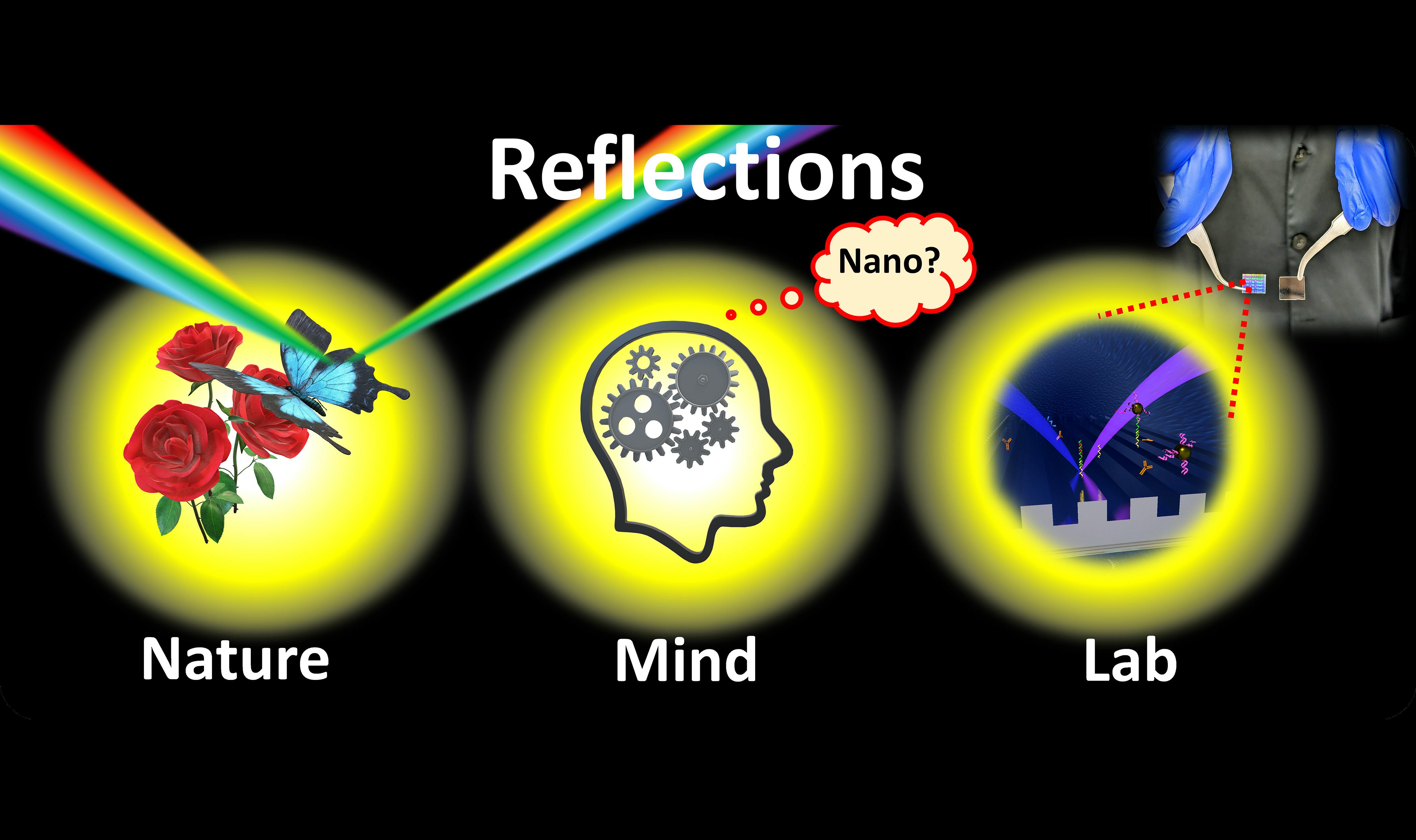 Reflections in nature can lead to reflections in the mind and lab.