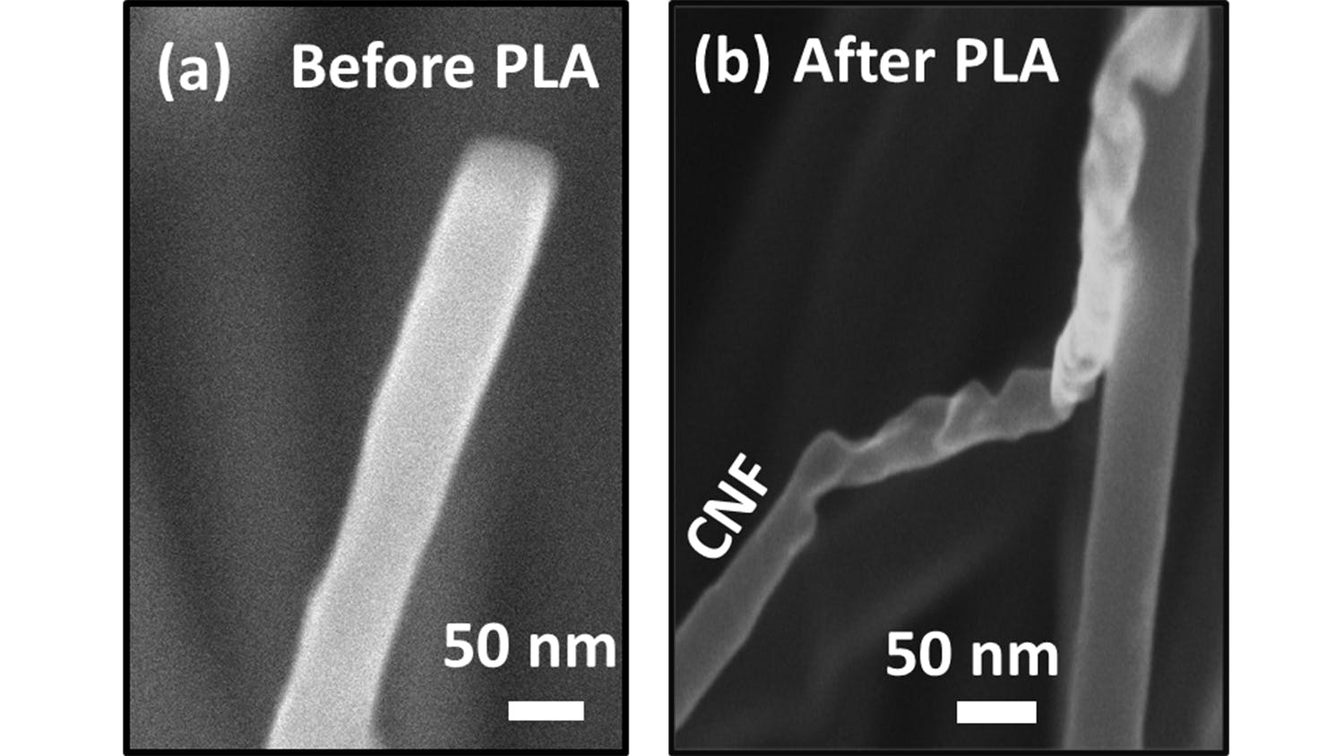 High-resolution scanning electron microscopy images show (a) a carbon nanofiber (CNF) before pulsed laser annealing (PLA) and (b) a CNF after PLA revealing the conversion of carbon nanofibers into diamond nanofibers.