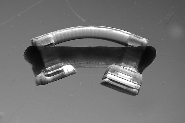 The miniature biological robots or bio-bots have a ring of muscle around a flexible, 3D-printed skeleton.