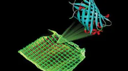 Image of a color filter with green and red luminescent proteins printed on a microgrid structure.