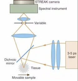 FIGURE 2. An experimental setup provides fluorescence-spectrum measurement combined with a spatial filter for confocal microscopy selectivity. FIGURE 2. An experimental setup provides fluorescence-spectrum measurement combined with a spatial filter for confocal microscopy selectivity.