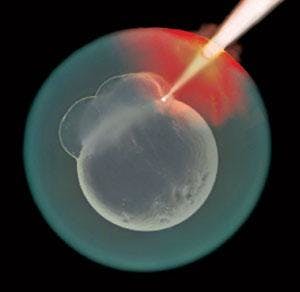 By focusing femtosecond laser pulses (10&ndash;15 fs/pulse) through the chorion of a zebrafish embryo, researchers at the University of Alberta (Canada) were able to create laser-induced transient pores at the blastomere-yolk interface of the embryo and in individual blastomere cells. The resulting pores were used as delivery pathways to introduce a fluorescent reporter molecule into the cells.