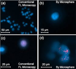Image: Fluorescence (FL) micrographs of cells imaged without (a, c) and with (b, d) 130 μm-diameter BTG sphere immersed in PDMS and a stain for additional resolution. U87 glioblastoma cells (a, b) U87 are imaged through a 20X (numerical aperture = 0.4) objective lens under excitation at λ=365 nm with filtering at 440 nm. Cell nuclei and radiation-induced foci (c, d) are shown under excitations at 365 and 594 nm with filtering at 440 and 620 nm, respectively. Image: Fluorescence (FL) micrographs of cells imaged without (a, c) and with (b, d) 130 μm-diameter BTG sphere immersed in PDMS and a stain for additional resolution. U87 glioblastoma cells (a, b) U87 are imaged through a 20X (numerical aperture = 0.4) objective lens under excitation at λ=365 nm with filtering at 440 nm. Cell nuclei and radiation-induced foci (c, d) are shown under excitations at 365 and 594 nm with filtering at 440 and 620 nm, respectively.
