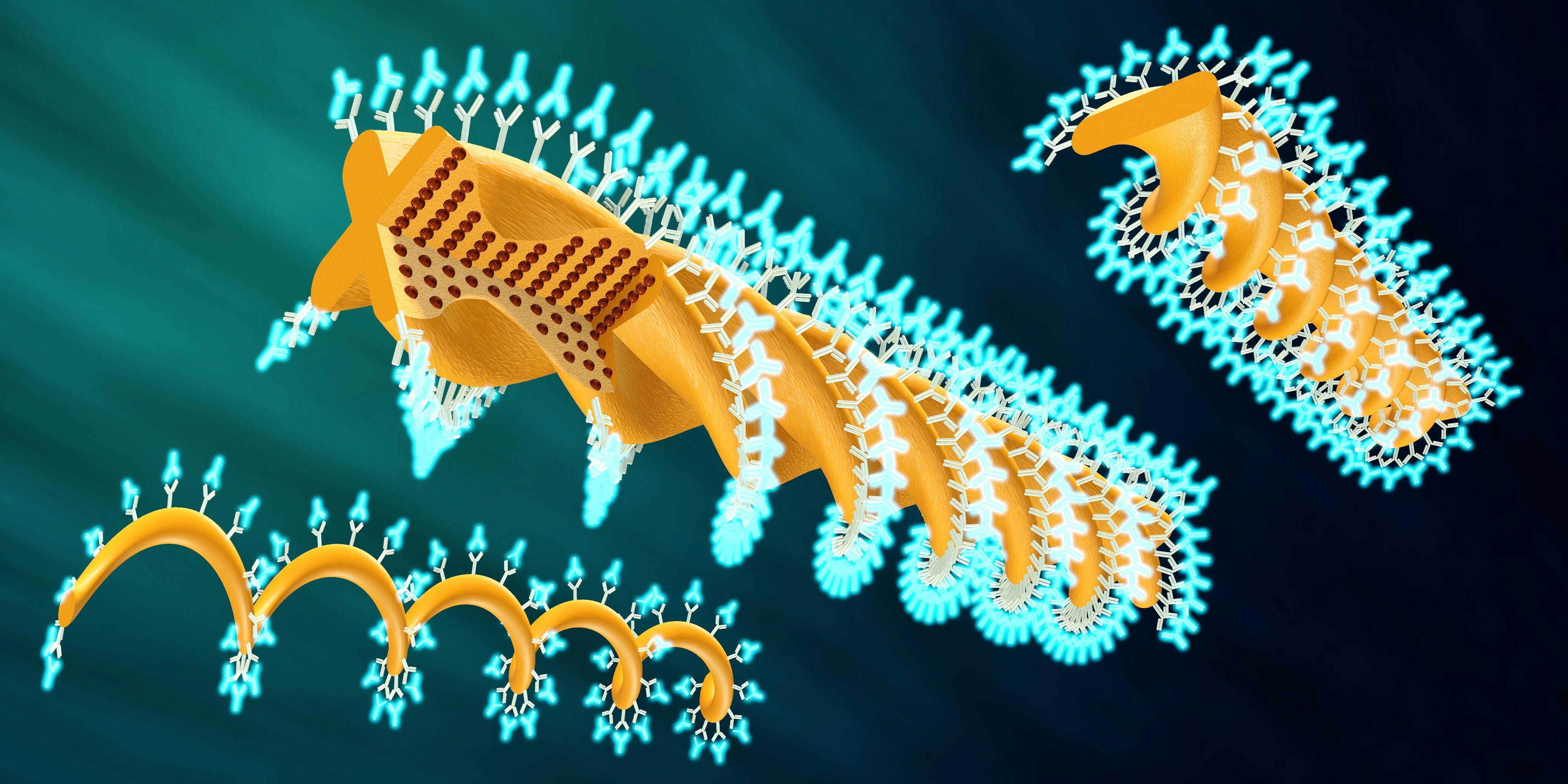 Microactuators of differing helical shapes are produced via two-photon polymerization. The swimming actuators can be coated with active biological compounds.