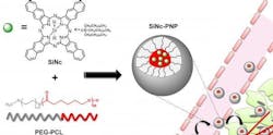 The single-agent phototherapy system from OSU is diagrammed. The single-agent phototherapy system from OSU is diagrammed.