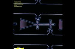 Dark-field microscope image of a diode nanocavity device with a grating coupler (left) for optical excitation/collection and electrical connections to the p-i-n diode (top/bottom). Credit: Michael Dobinson Dark-field microscope image of a diode nanocavity device with a grating coupler (left) for optical excitation/collection and electrical connections to the p-i-n diode (top/bottom). Credit: Michael Dobinson