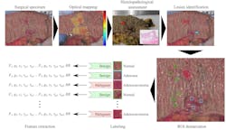 Study workflow for every collected sample. Study workflow for every collected sample.