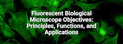 Fluorescence Microscope Objectives: Principles, Design & Applications Fluorescence Microscope Objectives: Principles, Design & Applications