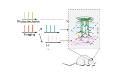 Diagram of CLAOP deciphering a functional column. Diagram of CLAOP deciphering a functional column.