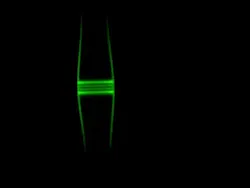 In a glass optical fiber, light is captured in a bulge in the fiber. It can't escape because the diameter of the fiber decreases on both sides. In a glass optical fiber, light is captured in a bulge in the fiber. It can't escape because the diameter of the fiber decreases on both sides.
