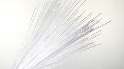 PURAVIS high-purity optical fibers from SCHOTT have improved optical transmission and chemical stability for demanding medical and industrial applications; they are also lead-free and environmentally friendly. PURAVIS high-purity optical fibers from SCHOTT have improved optical transmission and chemical stability for demanding medical and industrial applications; they are also lead-free and environmentally friendly.