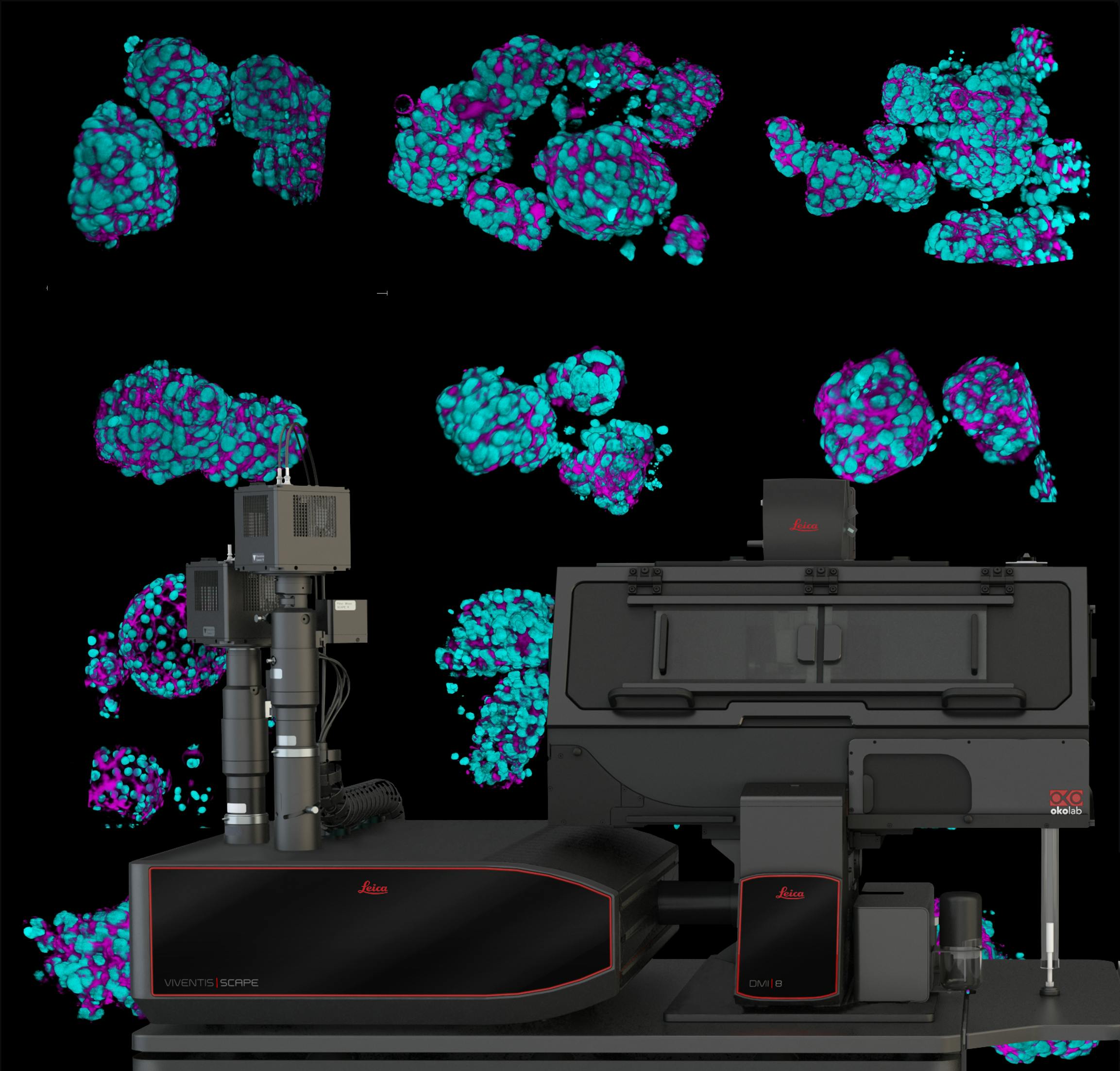 Viventis SCAPE - Single Objective Light Sheet Microscope for fast and gentle volumetric imaging