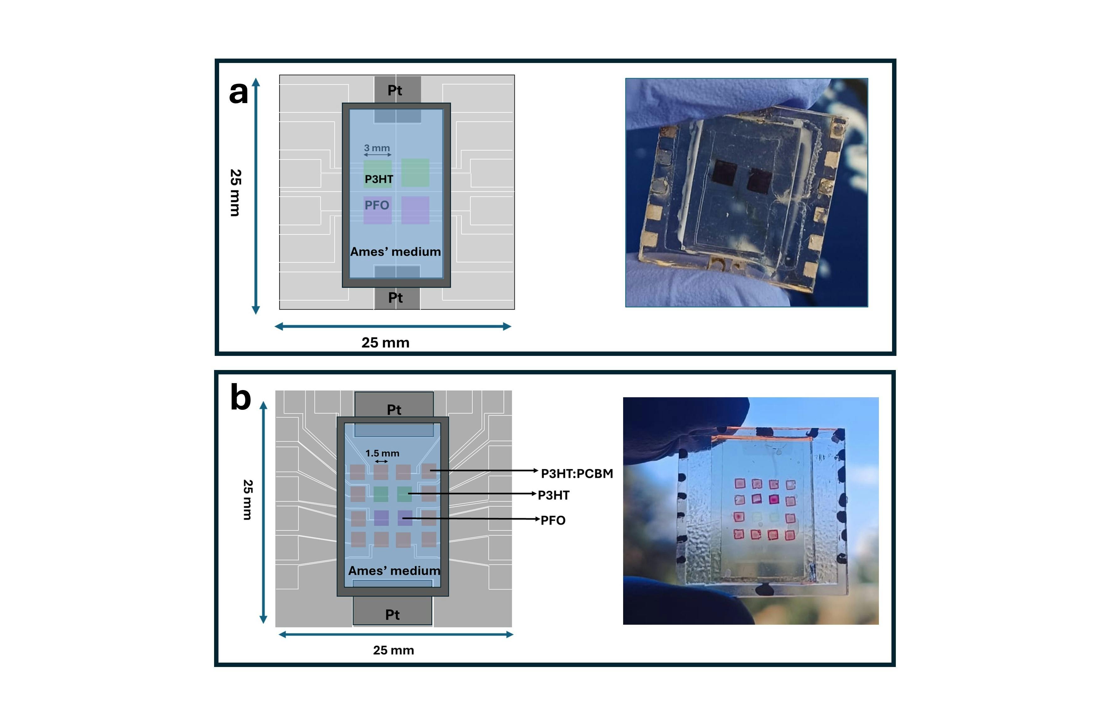 Design of BIOPIX polymer pixel arrays. a) Left: A schematic of the BIOPIX device architecture featuring a 2 &times; 2 polymer pixel array. Right: A photograph of a 2 &times; 2 BIOPIX device. b) Left: Schematic of the BIOPIX device architecture with a 4&times;4 polymer pixel array. Right: Photograph of a 4 &times; 4 BIOPIX device.