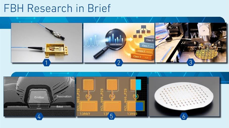 FBH Research in Brief