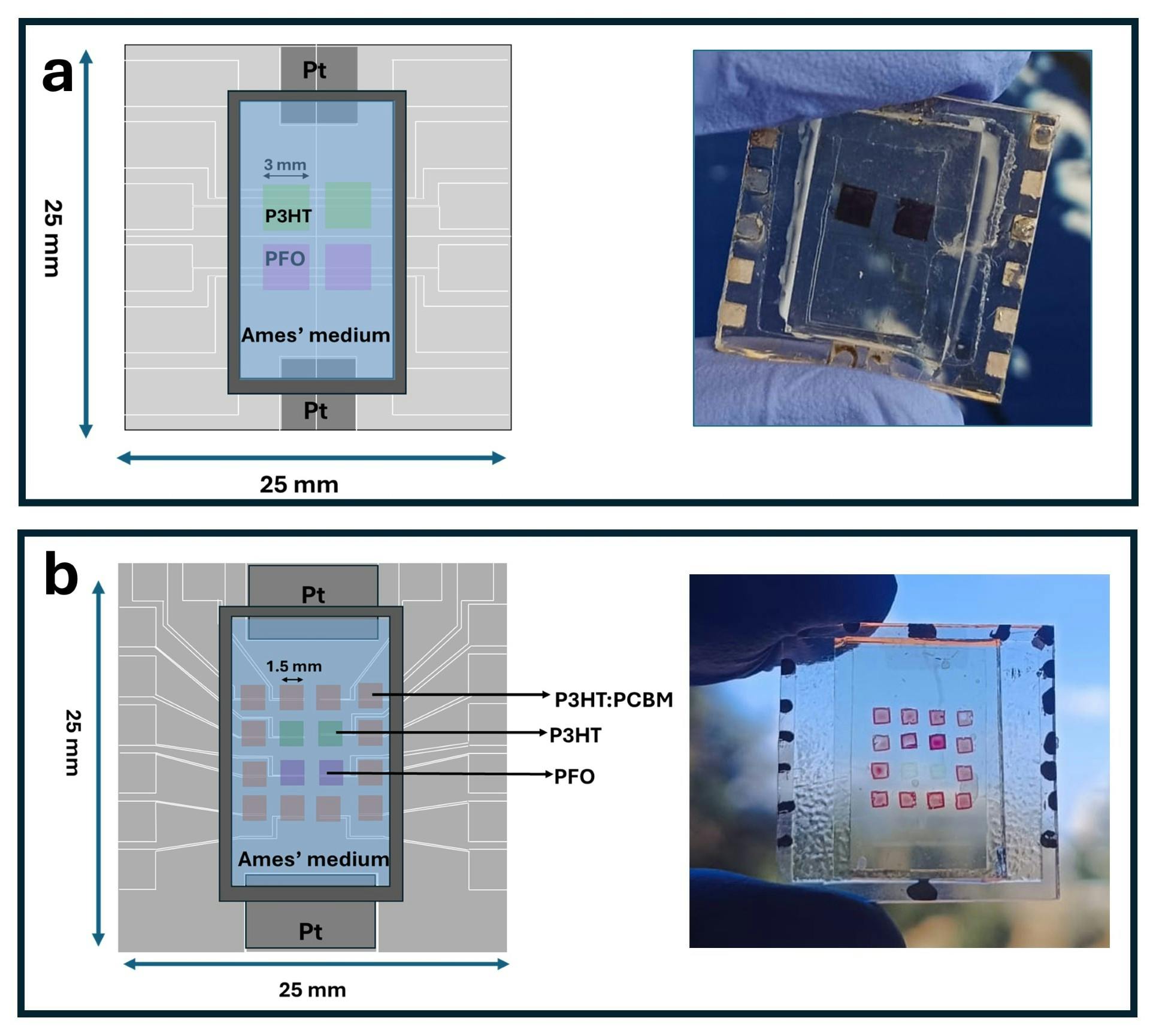 061726_optical_sensors_lfw_image
