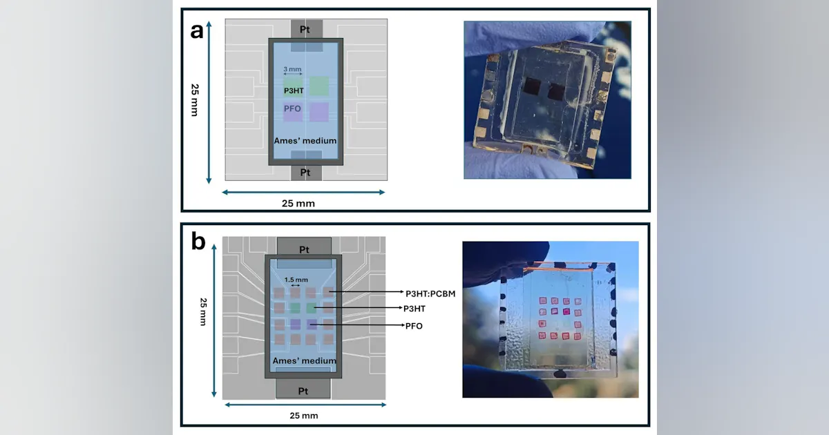 Sensor Array Image Processing Biohybrid image sensor array processes light like retinas | Laser Focus ...