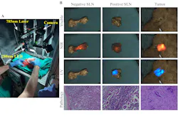 During controlled lab tests, the camera captured UV, color, and NIR information together.