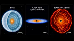 Stars like our Sun (left) may be thought of as a dense ball of gas powered by nuclear fusion. Black holes (center) typically grow by consuming matter via pancake-like accretion disks. Black Hole Stars (right) represent a new kind of astrophysical object—black holes enshrouded in dense gas so they effectively radiate in a star-like manner. The dense envelope of gas gives the black hole its star-like features. Black Hole Stars are >100,000 times larger than the Sun (~1000 au vs. ~0.01 au), but span a size similar to black hole accretion disks.