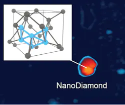 This photo shows the key concept behind the team’s work.