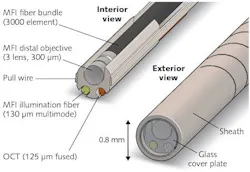 Less than a millimeter in diameter, the latest version of the falloposcope incorporates separate illumination fibers for OCT and multispectral fluorescence imaging (MFI; 125 μm single-mode and 130 μm multimode, respectively); a three-lens, 300 μm distal objective for MFI; a bundle of 3000-element optical fiber for imaging; and two pull wires to enable steering of the imaging element during the assessment procedure.