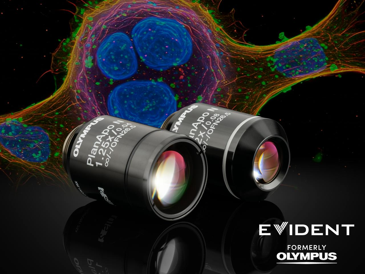 Evident-1280x960