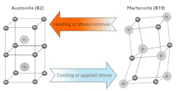 FIGURE 1. Nitinol crystal structure transformation between austenite (B2) and martensite (B19) during heating and cooling.