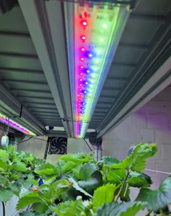 FIGURE 4. 4-channel lighting system.