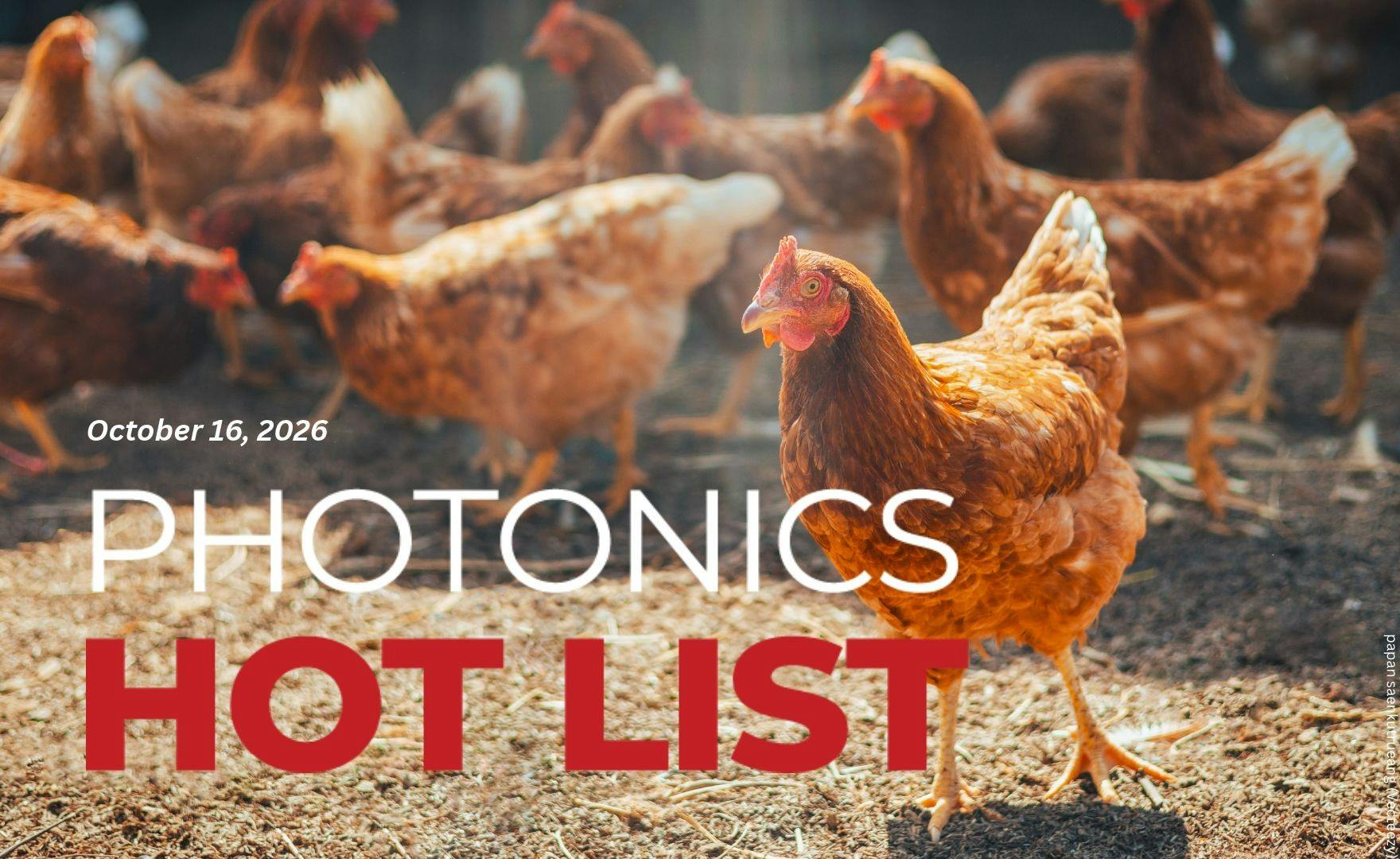 hot_list_ep_202graphic_1
