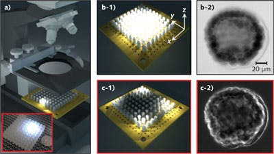 FIGURE 1. A conventional microscope optical condenser is replaced by a programmable LED array (a). No lens is placed between the LED array and the sample stage. The inset shows the LED array prototype with 10 &times; 10 phosphor-based diffused white LEDs (Betlux BL-L513UWC, with 160&deg; wide illumination angles). The central LEDs are turned on for brightfield imaging (b-1 and b-2), whereas the edge LEDs are turned on for darkfield imaging (c-1 and c-2).