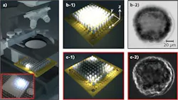 FIGURE 1. A conventional microscope optical condenser is replaced by a programmable LED array (a). No lens is placed between the LED array and the sample stage. The inset shows the LED array prototype with 10 × 10 phosphor-based diffused white LEDs (Betlux BL-L513UWC, with 160° wide illumination angles). The central LEDs are turned on for brightfield imaging (b-1 and b-2), whereas the edge LEDs are turned on for darkfield imaging (c-1 and c-2).