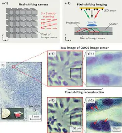 FIGURE 3. In a pixel-shifting camera, spatial resolution can be increased through microscanning (a-1). In pixel-shifting imaging using a programmable LED array, a sub-pixel shift of a shadow projection is induced by inducing a tilt illumination from the LED array (a-2). In an example, a large-field-of-view color image of a confluent cell sample is shown, along with a dotted circle showing the field of view of a 40X objective lens (b). Raw images of a small region of (b) are shown (c-1 and d-1), along with reconstructed high-resolution images produced using the pixel-shifting technique (c-2 and d-2).