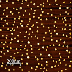 Atomic force microscopy (AFM) image of self-assembled QDL structures grown by MBE shows a uniform distribution across the surface. Consistent dot density and morphology are critical to achieve high performance and reproducibility in advanced photonic devices.
